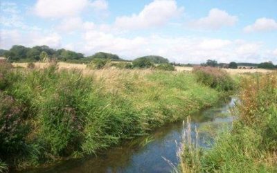 The Norfolk's Two Chalk Rivers